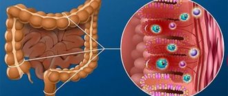 Signs of intestinal candidiasis