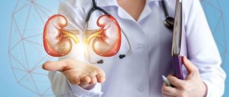 profession nephrologist