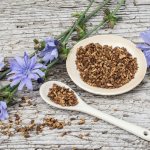 Production of instant chicory