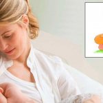 Пролактин у женщин