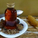 Propolis with alcohol: medicinal properties and contraindications of tincture, instructions for use