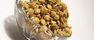 Sprouted lentils