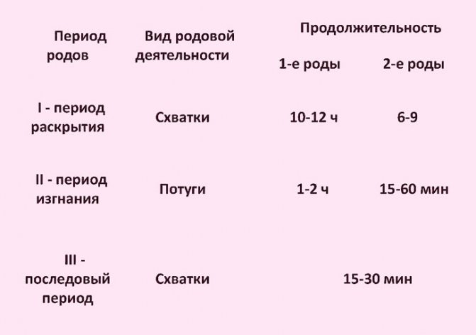 Этапы родовой деятельности схема