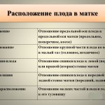Расположение плода в матке