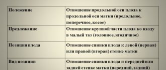 Расположение плода в матке