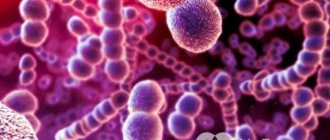 Развитие гнойной формы болезни чаще всего вызывают бактерии