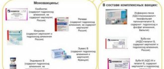 revaccination of adults hepatitis B