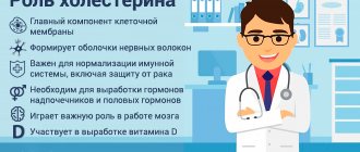 The role of cholesterol in the body