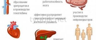 Роль витамина В6 в организме