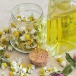 Ромашка – лечебные свойства и все секреты применения