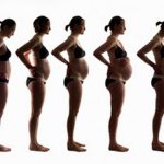 belly growth during pregnancy