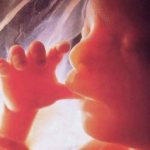 Шевеление плода при беременности: первая активность