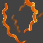 Syphilis in children introduction