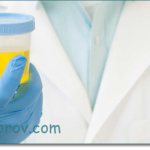 Слизь в моче: норма или патология