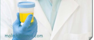 Mucus in urine: normal or pathological