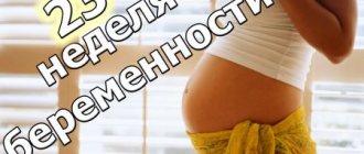 Events at 23 weeks of pregnancy