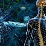 Brain toxoplasmosis symptoms