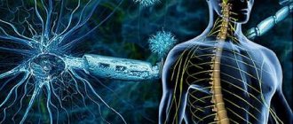 Brain toxoplasmosis symptoms