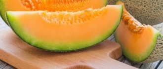 Eating melon during pregnancy