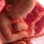 ВДМ при беременности по неделям - таблица, описание!