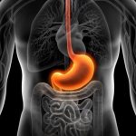 виды гастрита