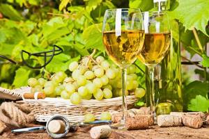 Виноград: польза и вред для здоровья организма