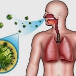 Вирусный бронхит – очень опасная и коварная инфекция, возбудителями которой являются различные вирусы