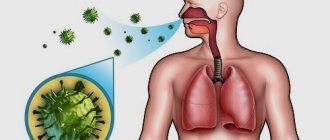Вирусный бронхит – очень опасная и коварная инфекция, возбудителями которой являются различные вирусы