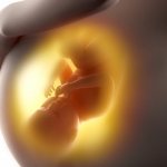 Intrauterine infections during pregnancy