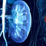 врач уролог что лечит у женщин