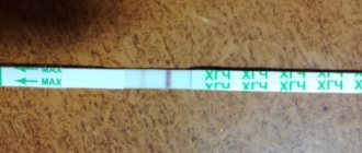 вторая полоска призрак фото теста