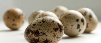 Introducing yolk into the baby's diet