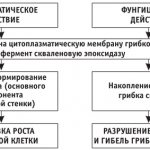 Залаин (Zalain) свечи при беременности. Инструкция по применению, аналоги, цена