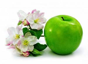 Зеленые яблоки при беременности: можно ли, полезные свойства и противопоказания