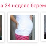 живот на 24 неделе беременности