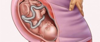 Belly at 35 weeks of pregnancy