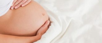 pregnant woman's belly